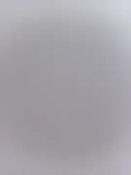 AudreySosa online show from 8, 2, 2026