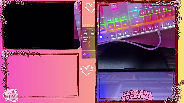 BellyRouse online show from 18, 4, 2026