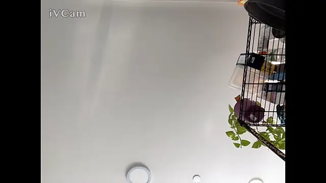 MisterHardCockk online show from 22, 12, 2025