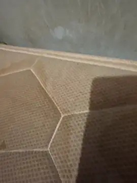 Chneor28 online show from 11, 2, 2026