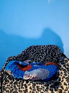 Snapshot of charlesss19 chatting on 20, 3, 2025 charlesss19 online show from 20, 3, 2025