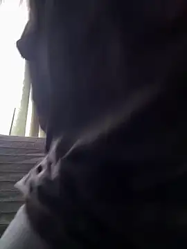 mikeysloan online show from 12, 3, 2026