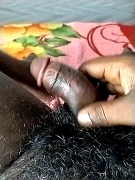 jellydicks online show from 16, 4, 2026