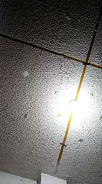 danysotico95 online show from 21, 12, 2024