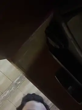 tripexnte online show from 22, 2, 2025