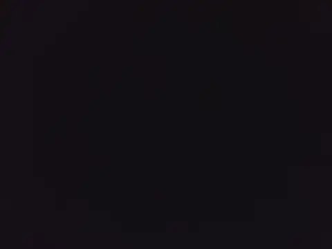 tripexnte online show from 8, 3, 2025