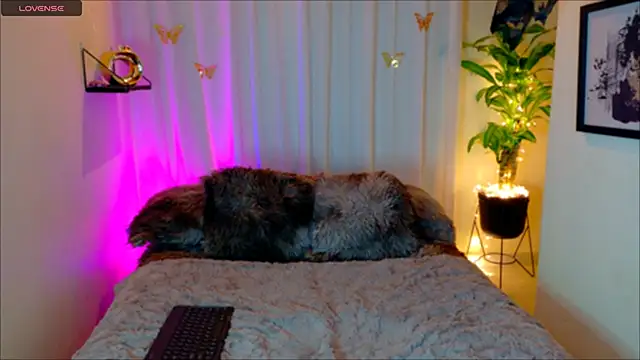 Kaaiiri online show from 17, 3, 2026