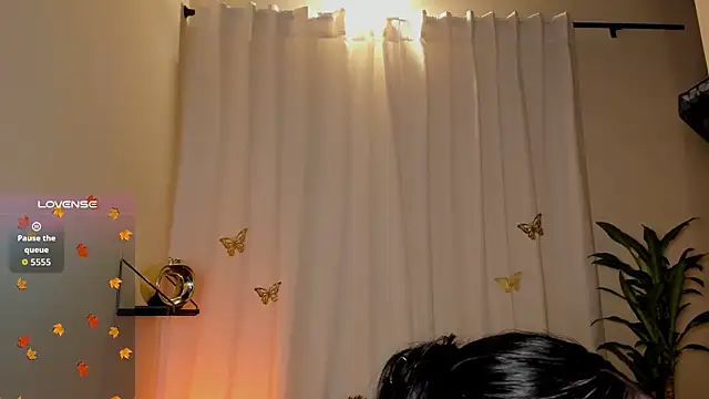 Kaaiiri online show from 17, 12, 2025