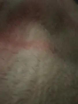 Juliano69xv online show from 19, 12, 2025