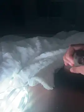 mallllll273838ko online show from 16, 12, 2024