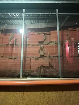 Anily Lovely online show from 23, 2, 2026