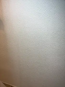 LatinStraight5 online show from 8, 2, 2026