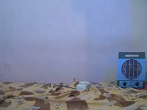 naina-80 online show from 10, 2, 2026