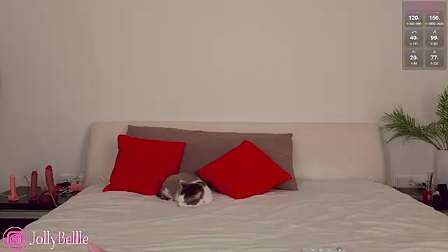 jolly bellle online show from 15, 11, 2025