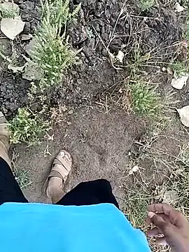 Piyush 2024 online show from 3, 4, 2026