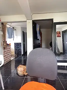 Edward Milleer online show from 3, 11, 2025