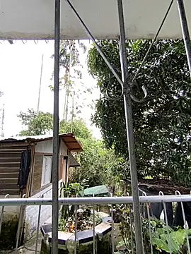 Snapshot of Jestebanano chatting on 4, 5, 2026 Jestebanano online show from 4, 5, 2026