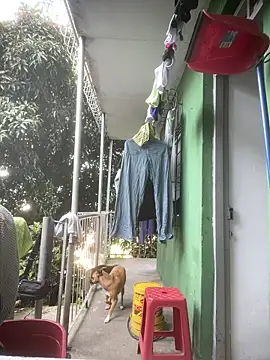 Jestebanano online show from 14, 4, 2026