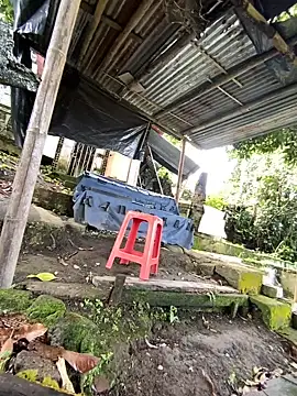 Snapshot of Jestebanano chatting on 8, 6, 2026 Jestebanano online show from 8, 6, 2026