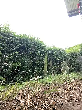 Jestebanano online show from 29, 11, 2025