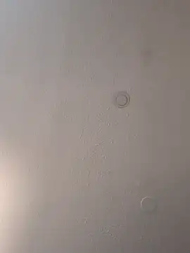 Snapshot of geilerschwanz64 chatting on 18, 3, 2025 geilerschwanz64 online show from 18, 3, 2025