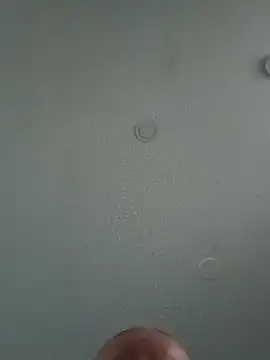 Snapshot of geilerschwanz64 chatting on 4, 2, 2025 geilerschwanz64 online show from 4, 2, 2025