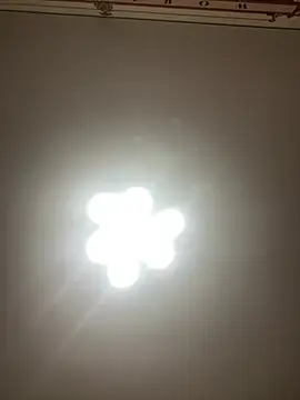 Snapshot of Janet_Welder chatting on 20, 12, 2024 Janet Welder online show from 20, 12, 2024