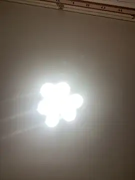 Snapshot of Janet_Welder chatting on 10, 5, 2026 Janet Welder online show from 10, 5, 2026