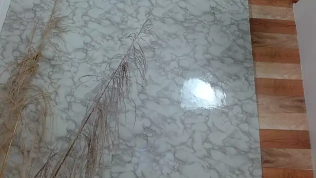 allysonn fox online show from 6, 2, 2025