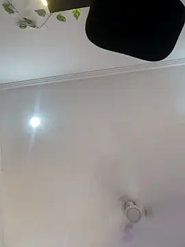 Snapshot of Archi-07 chatting on 24, 10, 2025 Archi-07 online show from 24, 10, 2025