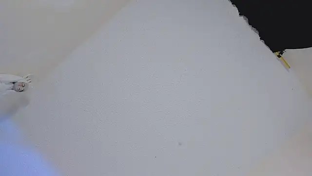 missycanoo online show from 22, 10, 2025