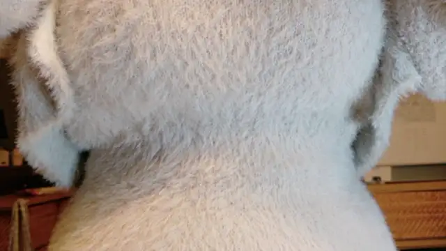 Snapshot of _Yui_ chatting on 18, 10, 2025 Yui online show from 18, 10, 2025