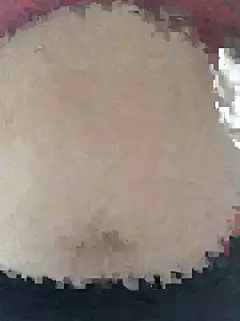 ahross online show from 8, 4, 2026