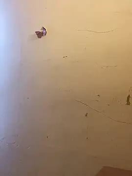 kittyprettybby online show from 12, 3, 2026