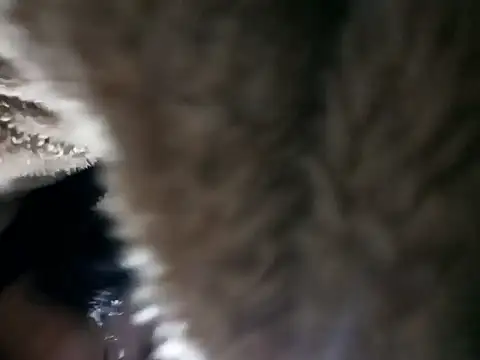 Snapshot of Elvishcassie_ chatting on 6, 1, 2026 Elvishcassie online show from 6, 1, 2026