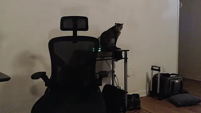 Snapshot of Pilot_Dave_69 chatting on 18, 1, 2025 Pilot Dave 69 online show from 18, 1, 2025