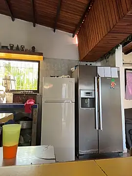 Leo bunny hot online show from 31, 10, 2025