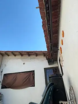 Leo bunny hot online show from 13, 11, 2025