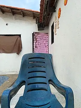 Leo bunny hot online show from 29, 3, 2026