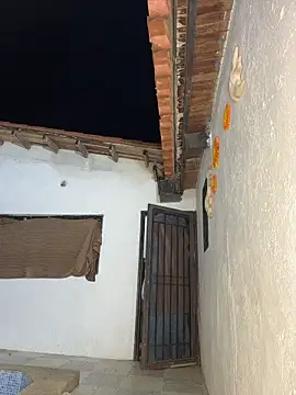 Leo bunny hot online show from 22, 4, 2026