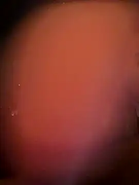 Mia MilesXXX online show from 13, 12, 2025