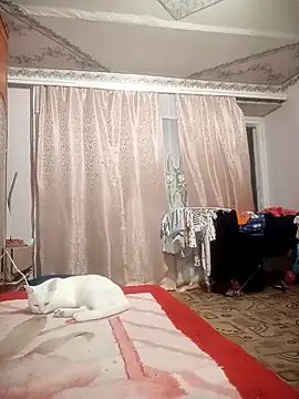 Aria  Dark online show from 16, 10, 2025