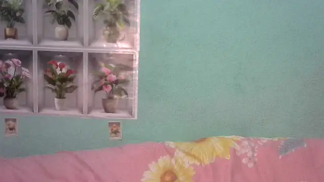 nanhi munni online show from 17, 11, 2025