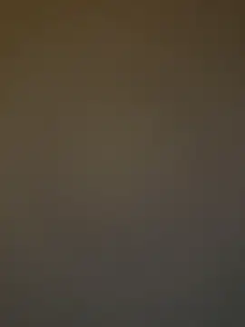 Snapshot of ADilil chatting on 20, 12, 2025 ADilil online show from 20, 12, 2025