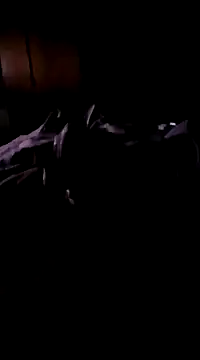 Imthegoattt online show from 12, 12, 2024