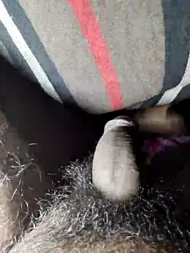 Kolkataboiy online show from 7, 11, 2025