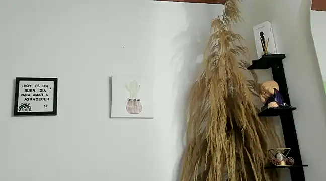 Pamelabru online show from 14, 1, 2025