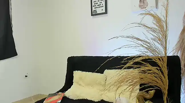 Pamelabru online show from 29, 1, 2025