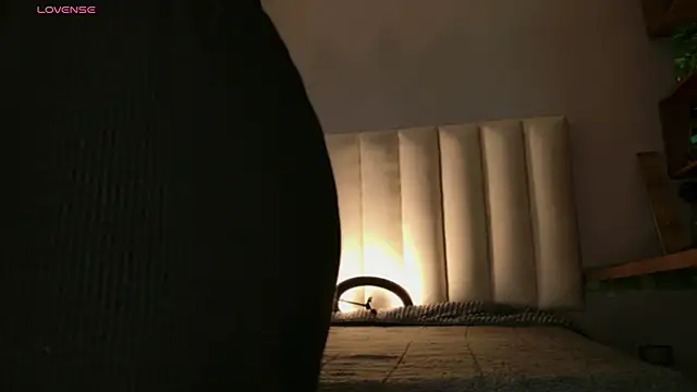 Megan mooree  online show from 27, 2, 2026