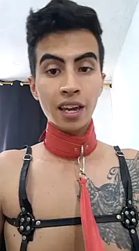 Velk hot online show from 7, 12, 2024